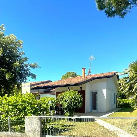 Dogi 10b 비비오네