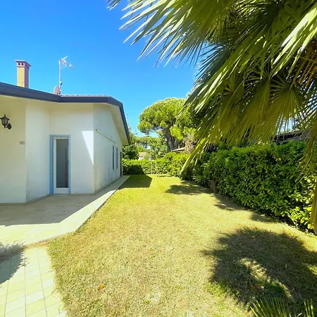 Dogi 10b * 비비오네